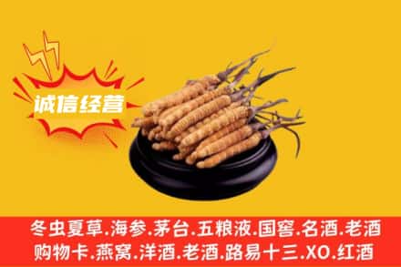 象山区回收冬虫夏草